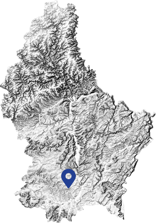 contact map