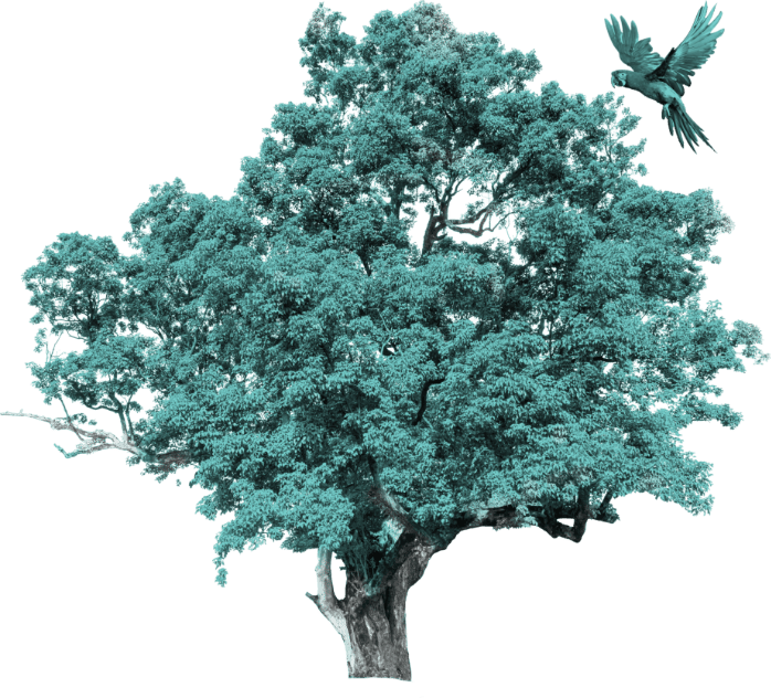 tree