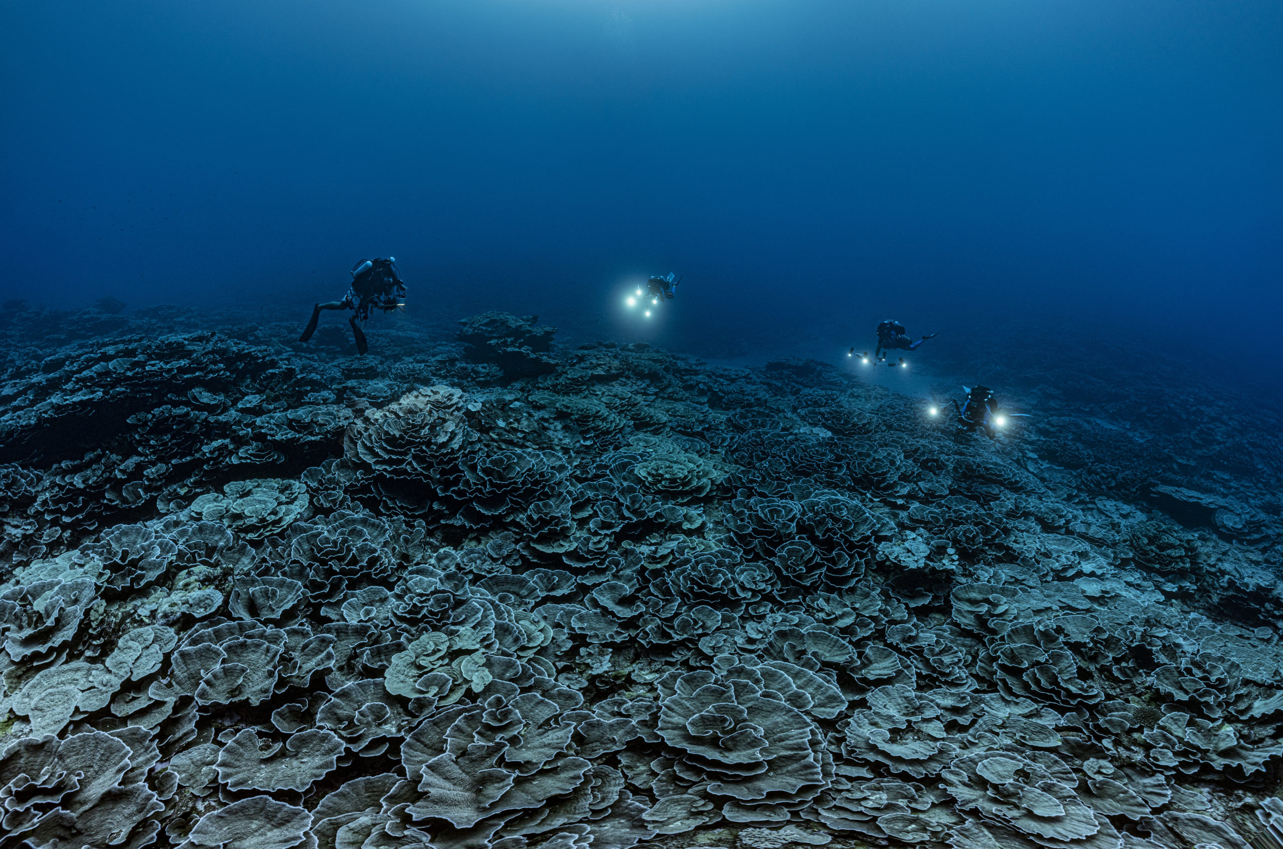 THE OCEAN IS COMING TO LUXEMBOURG