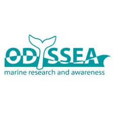 Odyssea asbl