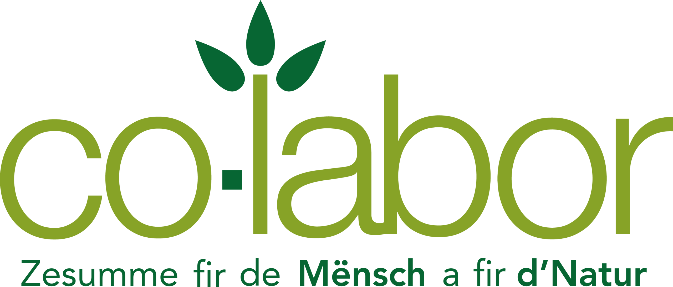 CO-LABOR