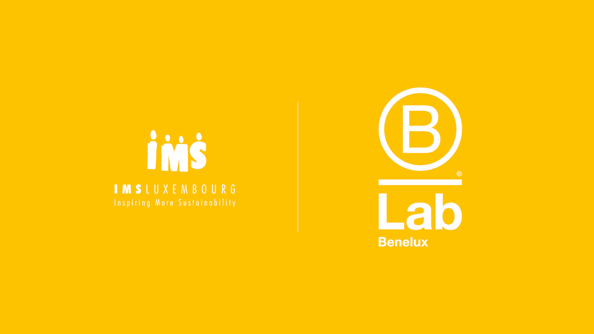 B Corp