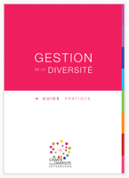 Practical Guide Diversity Management