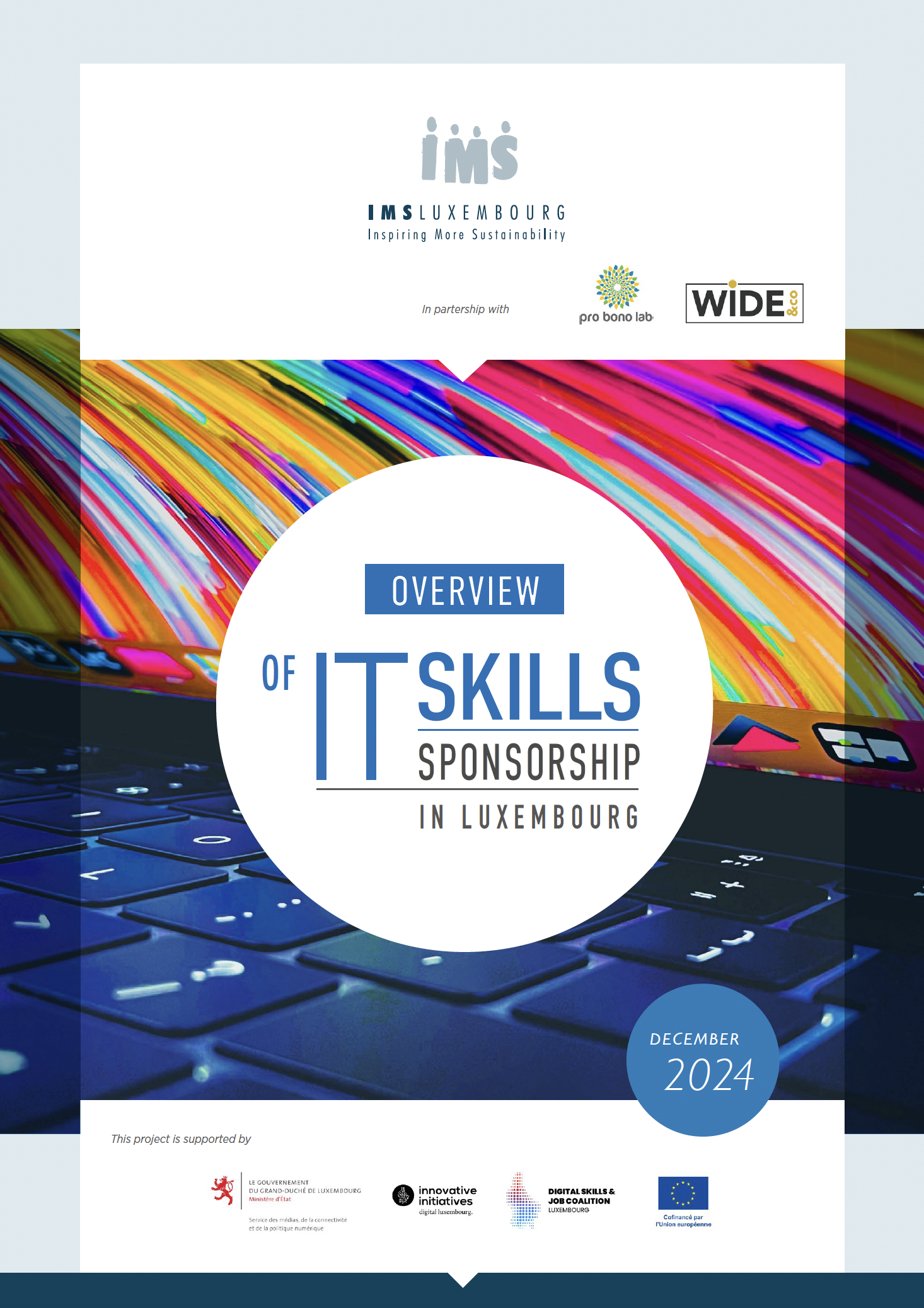 Overview of IT Skills-Based Volunteering in Luxembourg