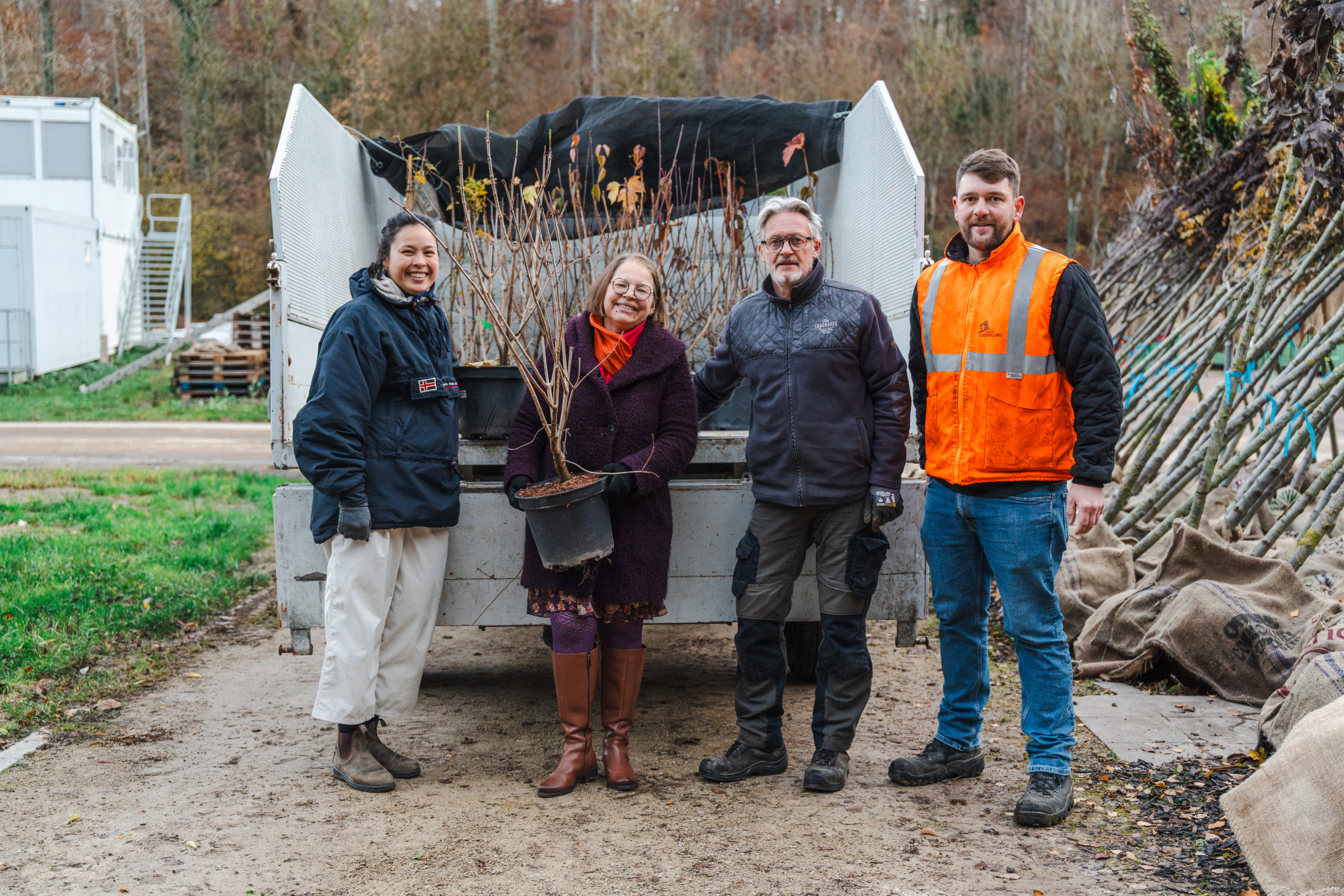 Trees in the City – Business in Action